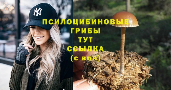 спайс Вязьма