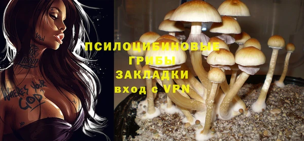 прущие крисы Волоколамск
