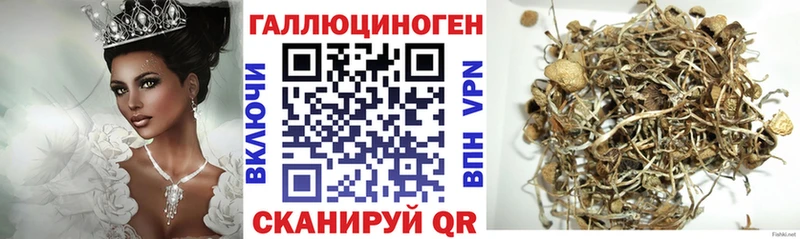 Псилоцибиновые грибы GOLDEN TEACHER  Зима 